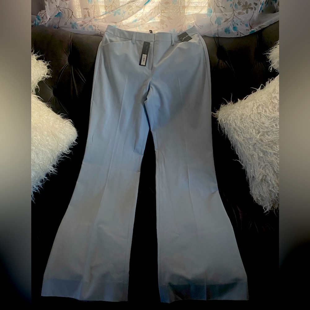 The Limited Cassidy dress pant in Baby Blue